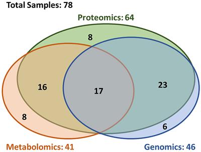 Multi-Omics Analysis of Brain Metastasis Outcomes Following Craniotomy